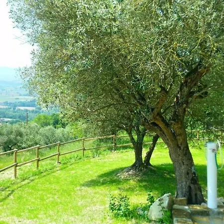 Agriturismo Calcinaia Sul Lago Sansepolcro