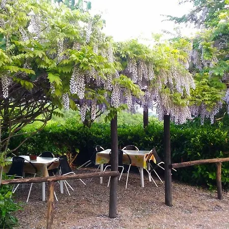 Agriturismo Calcinaia Sul Lago Farm stay *